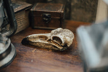 Cargar imagen en el visor de la galería, Figura Resina Calavera Cuervo