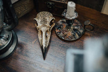 Cargar imagen en el visor de la galería, Figura Resina Calavera Cuervo