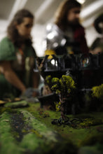 Laden Sie das Bild in den Galerie-Viewer, 🌿 Regreso a La Última Canción